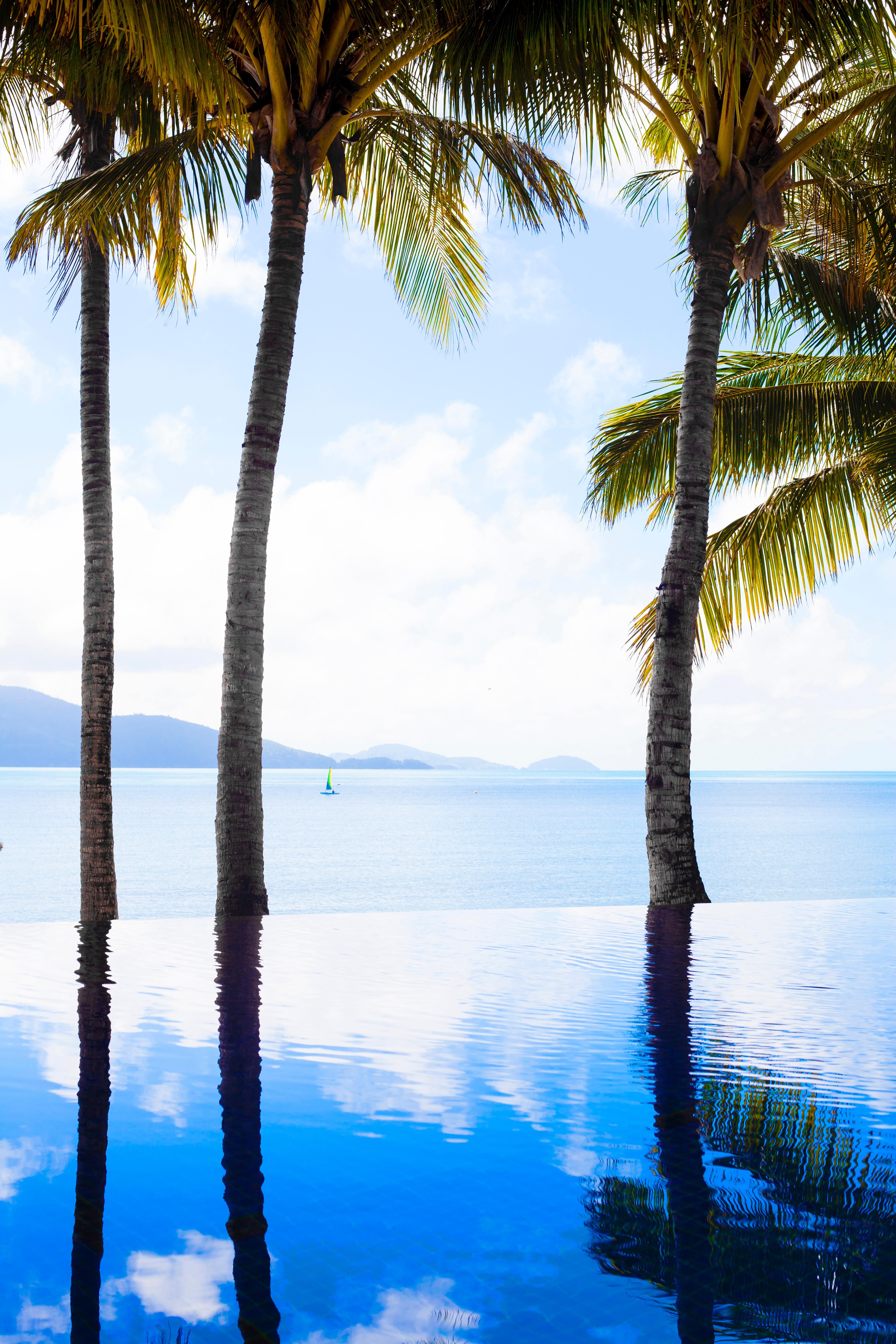Beach Club (Adults Only) Hamilton Island Exterior photo